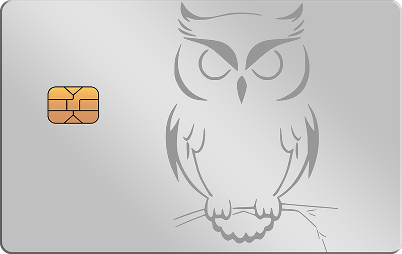 Owl 2